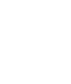 USD 100Mn+ Market Cap