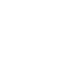 USD 500Mn+ Market Cap